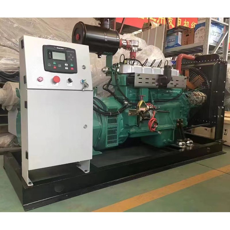 CNG LPG Hydrogen Biogas Propane Chlorine Natural Gas Turbine Generators Set Generation Equipment Genset Silent Gas Generator