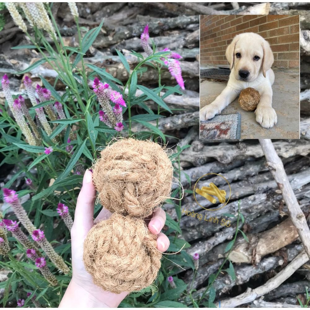 Coconut fiber Chew/Cocoball pet dog toy/Coco pull rope Rurable teeth clean Chewing rope toys from HOANG LINH SG Kimy+84938616690