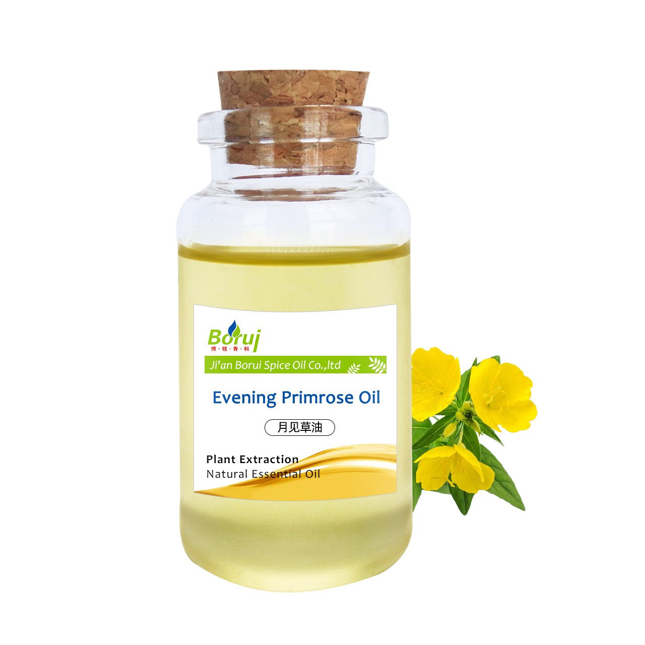 Evening Primrose Oil Skin Care OEM ODM Body Massage Organic Carrier Factory Price For Spa