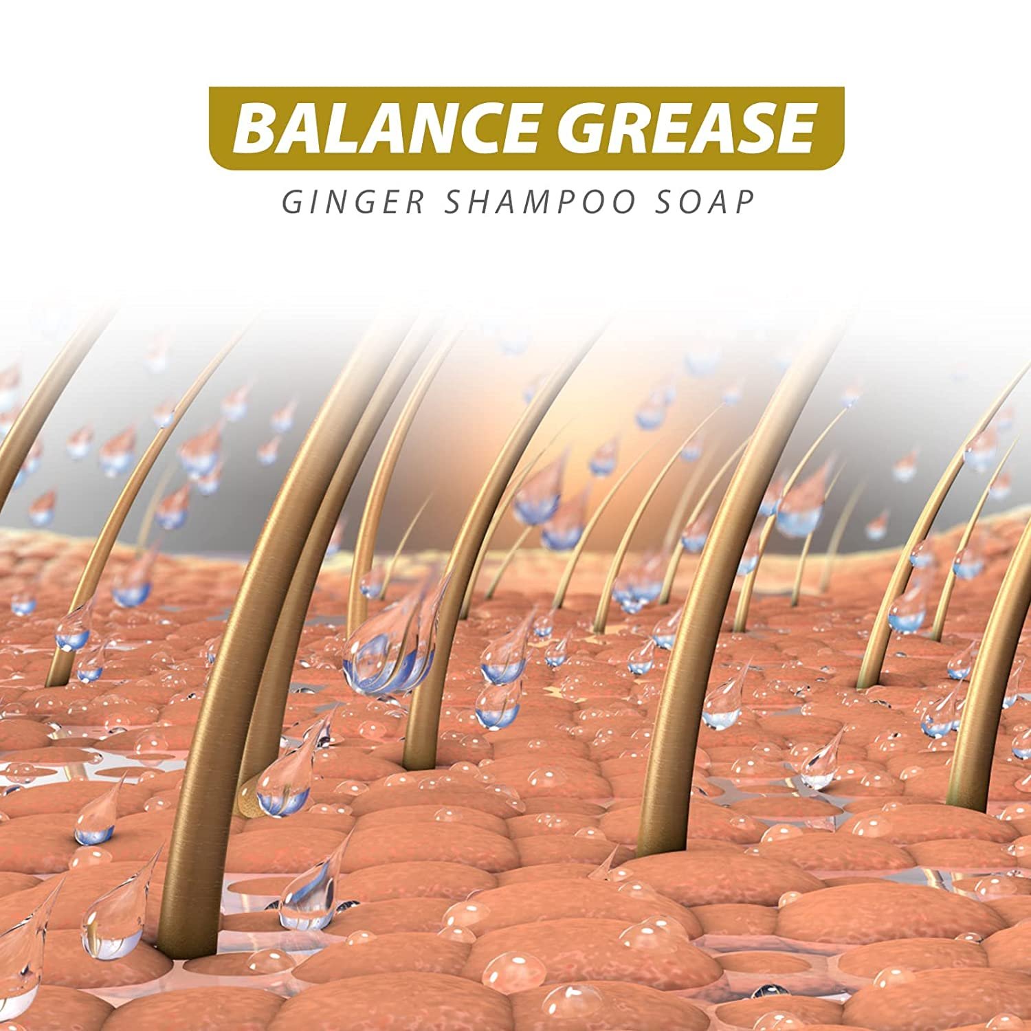 Regrowth Shampoo Anti Hair Loss Growth Shampoo OEM Private Label Herbal Organic Hair Care Ginger Shampoo