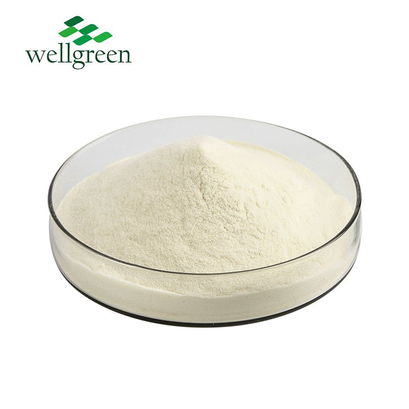 Bulk Supply Natural Health Care Raw Material Hemp Seed Extract Hemp Protein Powder