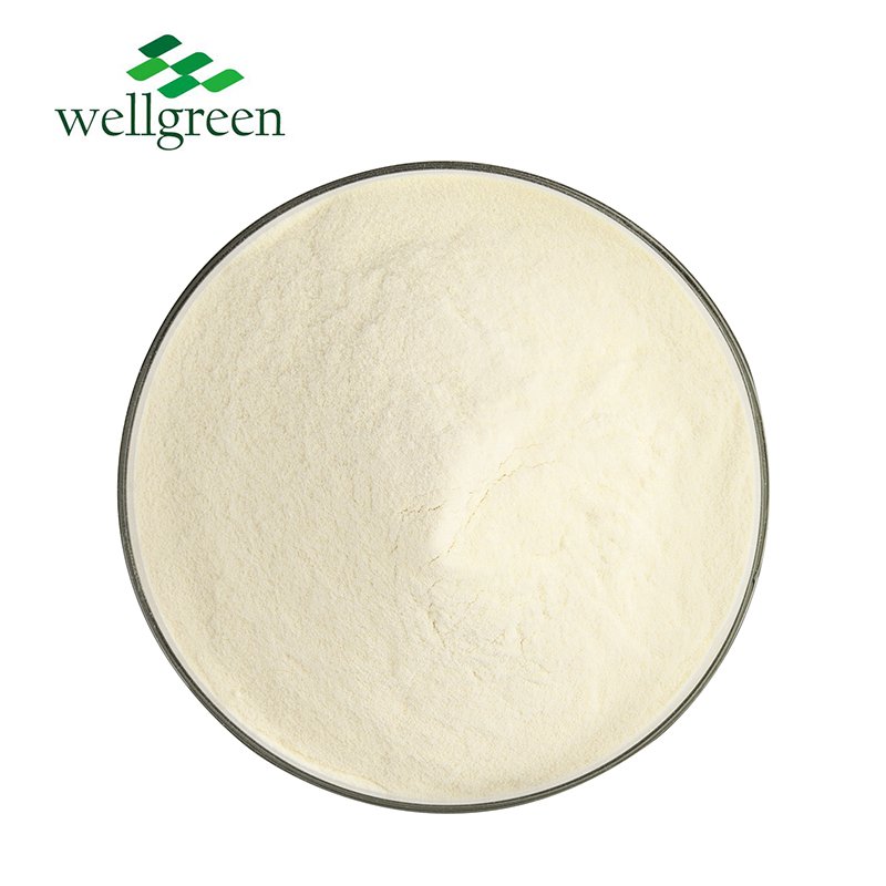 Bulk Supply Natural Health Care Raw Material Hemp Seed Extract Hemp Protein Powder