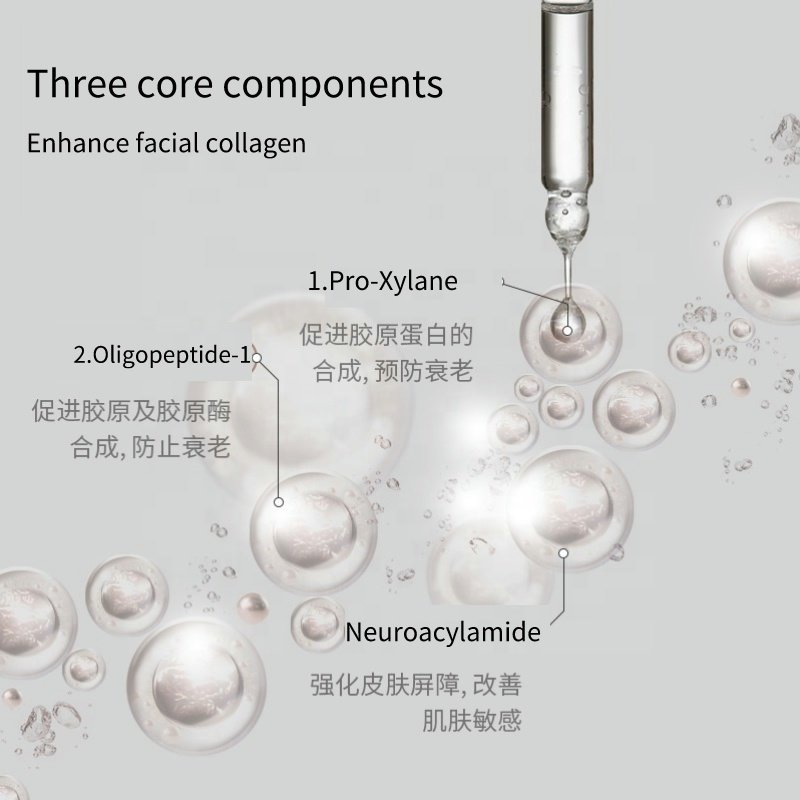 Custom Logo Skincare Products Spots Correct Makeup Removalhyaluronic Acid Essence and Black Liquid Anti-aging Lightening Cream