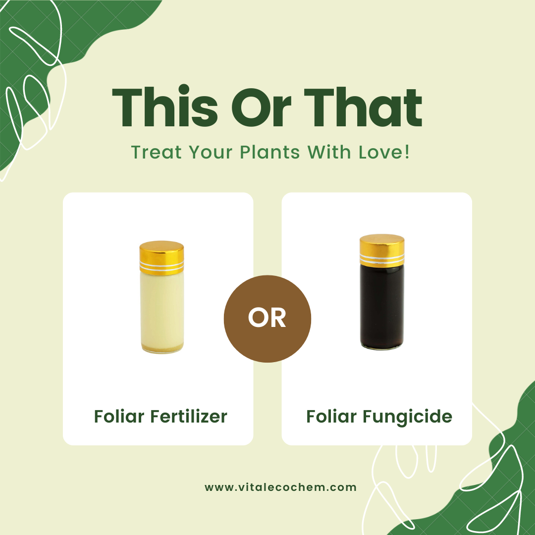 Liquid natural foliar organic fertilizers agricultural foliar spray