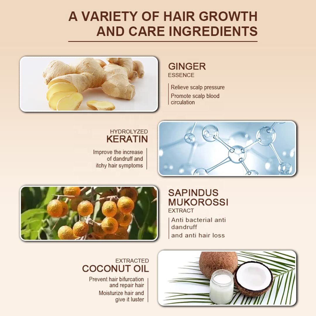 Organic Hair Care Oil Control Ginger Hair Shampoo and Conditioner Private Label Anti-dandruff Loss Ginger Hair Shampoo Unisex