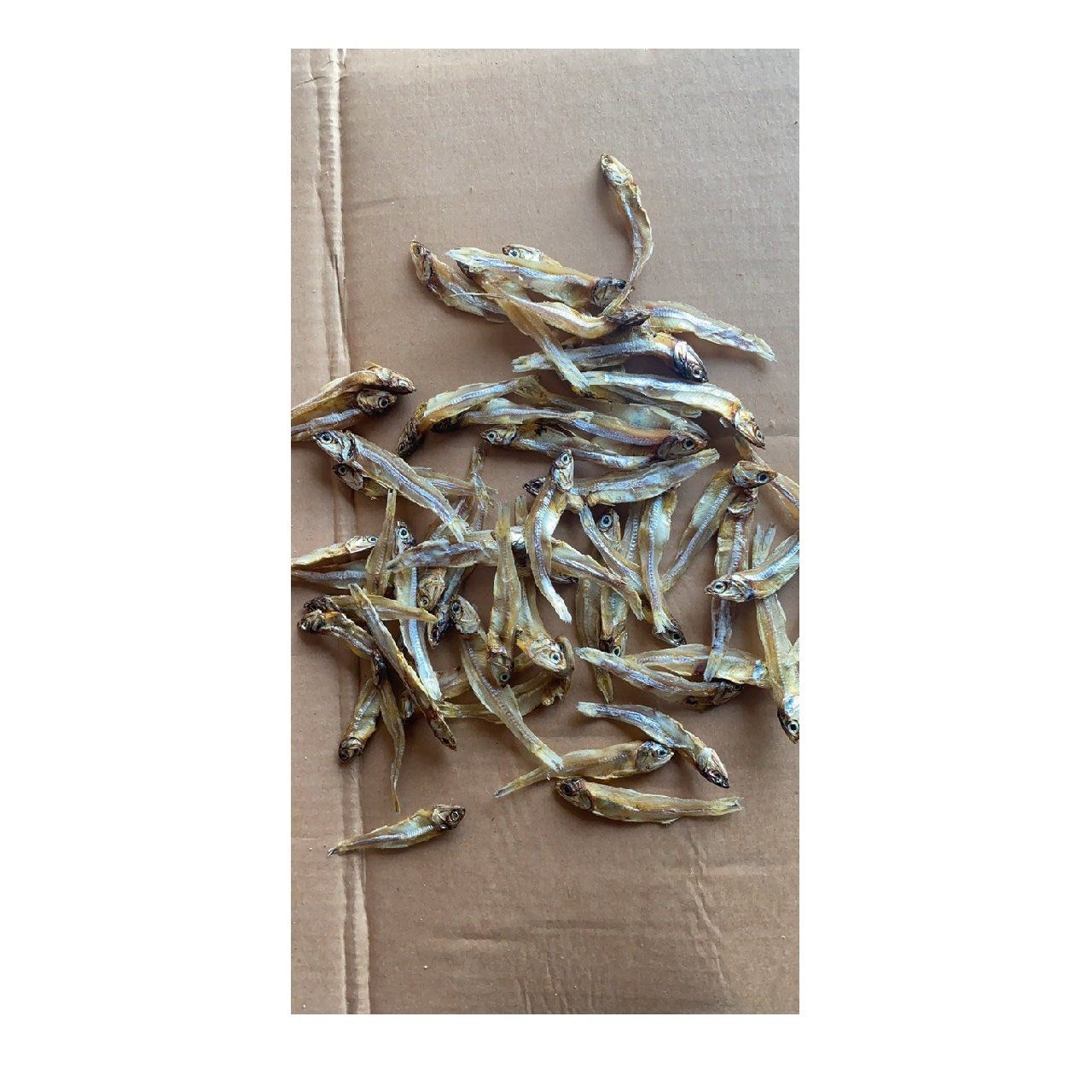 Best Price Large Raw Dried Anchovies Trans-Fat Free Low-Carb Salt Preserved HACCP Certified Fresh Frozen Whole Styles Bulk