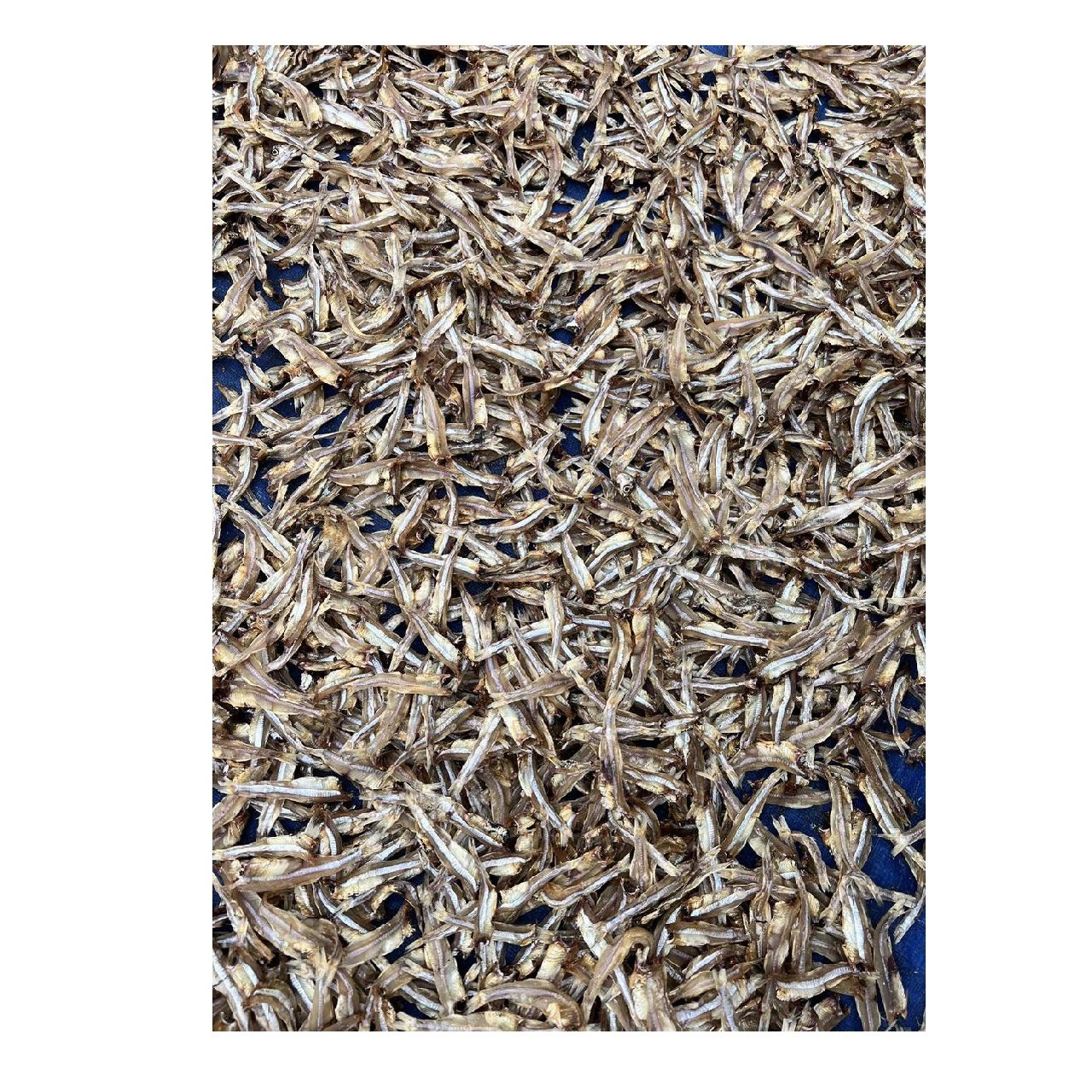 Best Price Large Raw Dried Anchovies Trans-Fat Free Low-Carb Salt Preserved HACCP Certified Fresh Frozen Whole Styles Bulk