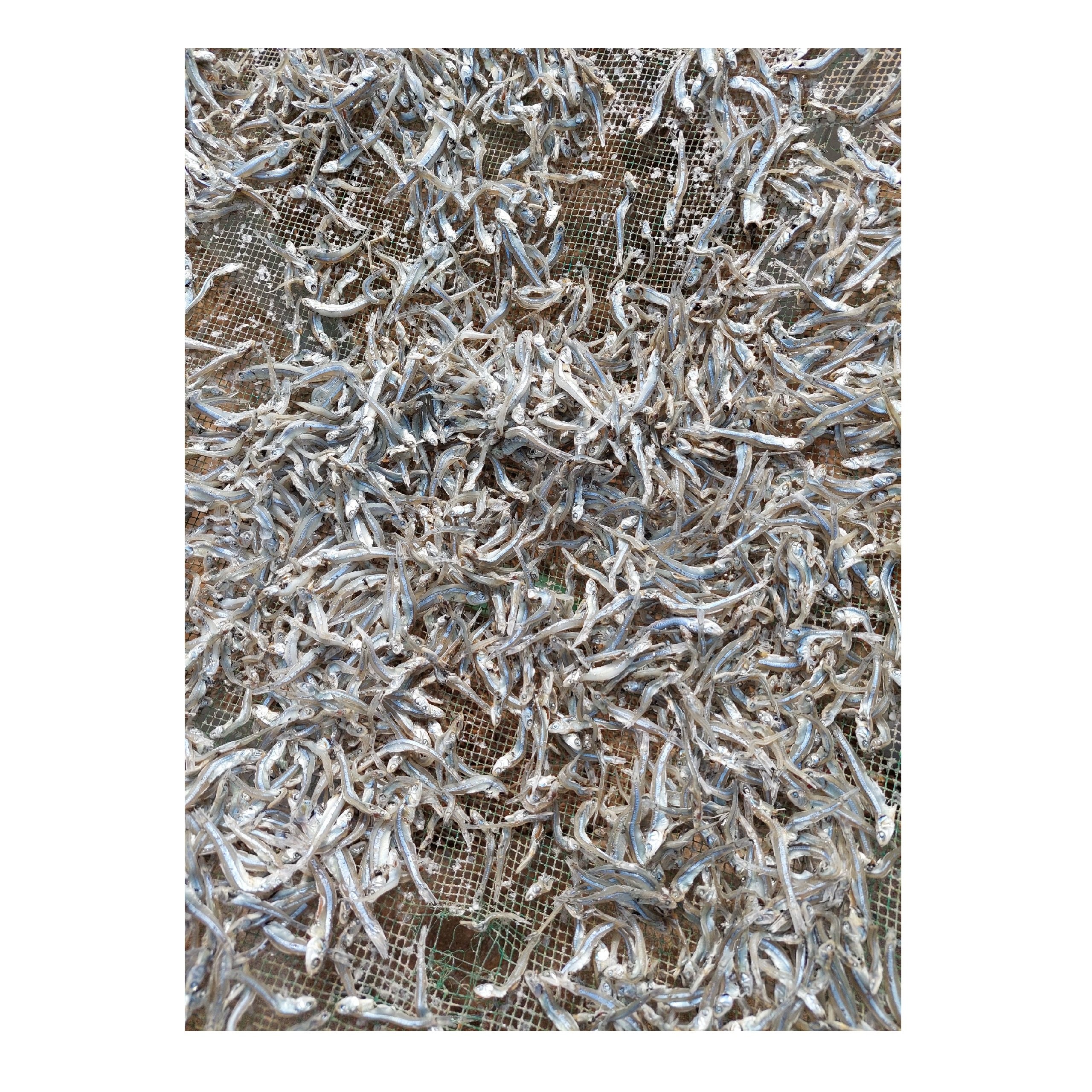 Best Price Large Raw Dried Anchovies Trans-Fat Free Low-Carb Salt Preserved HACCP Certified Fresh Frozen Whole Styles Bulk