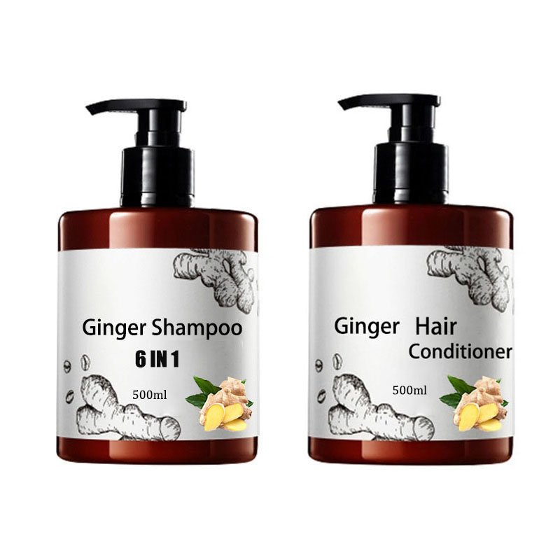 Treatment Shampoo private label Organic Anti Hair Loss Professional Hair Care Sulfate free Ginger Hair Shampoo