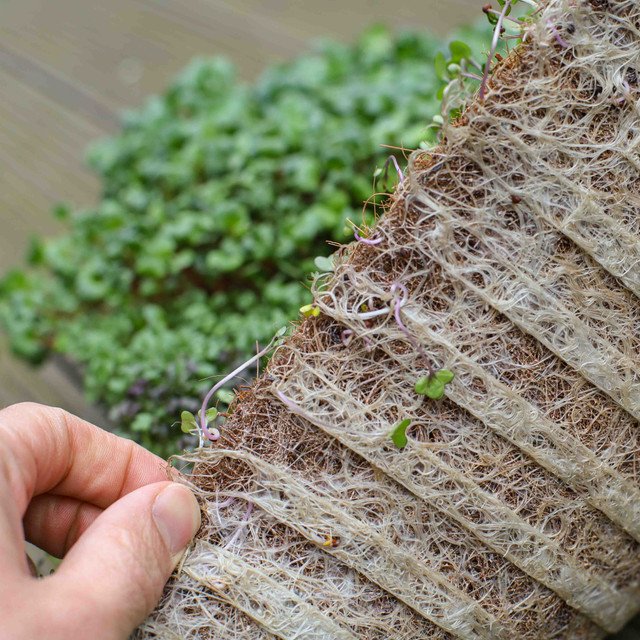 Coconut Coir Mats Compressed Coconut Fiber Sheets for Microgreens Growing Agriculture Farming House Gardening