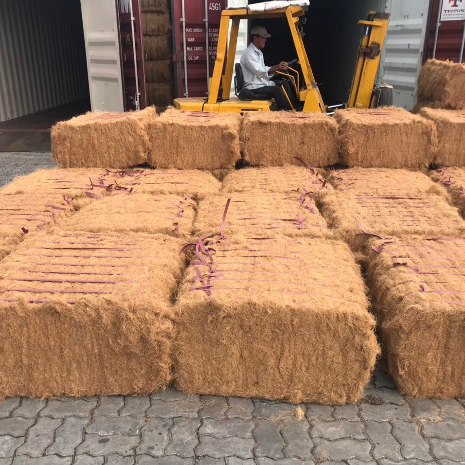 High Quality Coconut Fiber At Cheap Price Manufacturer From Thailand