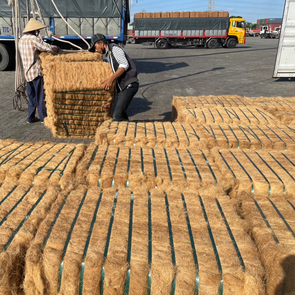 High Quality Coconut Fiber At Cheap Price Manufacturer From Thailand