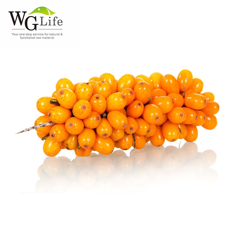 High quality organic natural sea buckthorn powder herbal plant extract