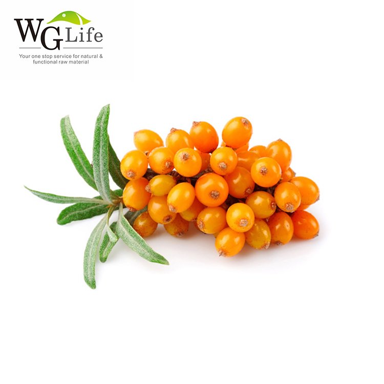 High quality organic natural sea buckthorn powder herbal plant extract