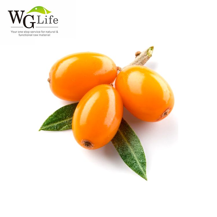 High quality organic natural sea buckthorn powder herbal plant extract