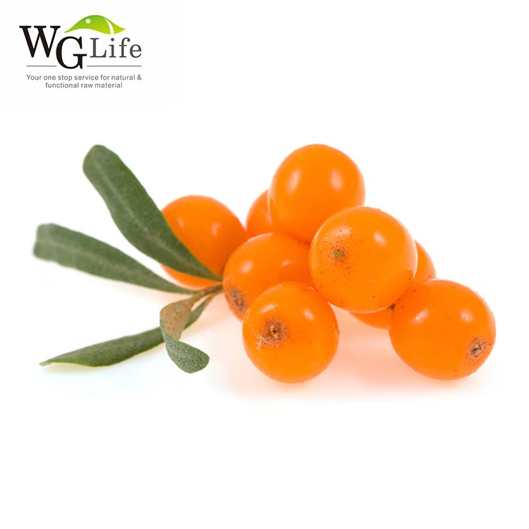 High quality organic natural sea buckthorn powder herbal plant extract