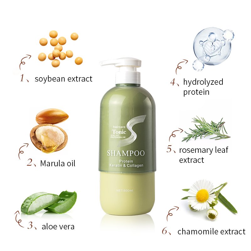 Private label herbal moisturizing hair treatment conditioner OEM best natural protein Brazilian biotin collagen keratin shampoo