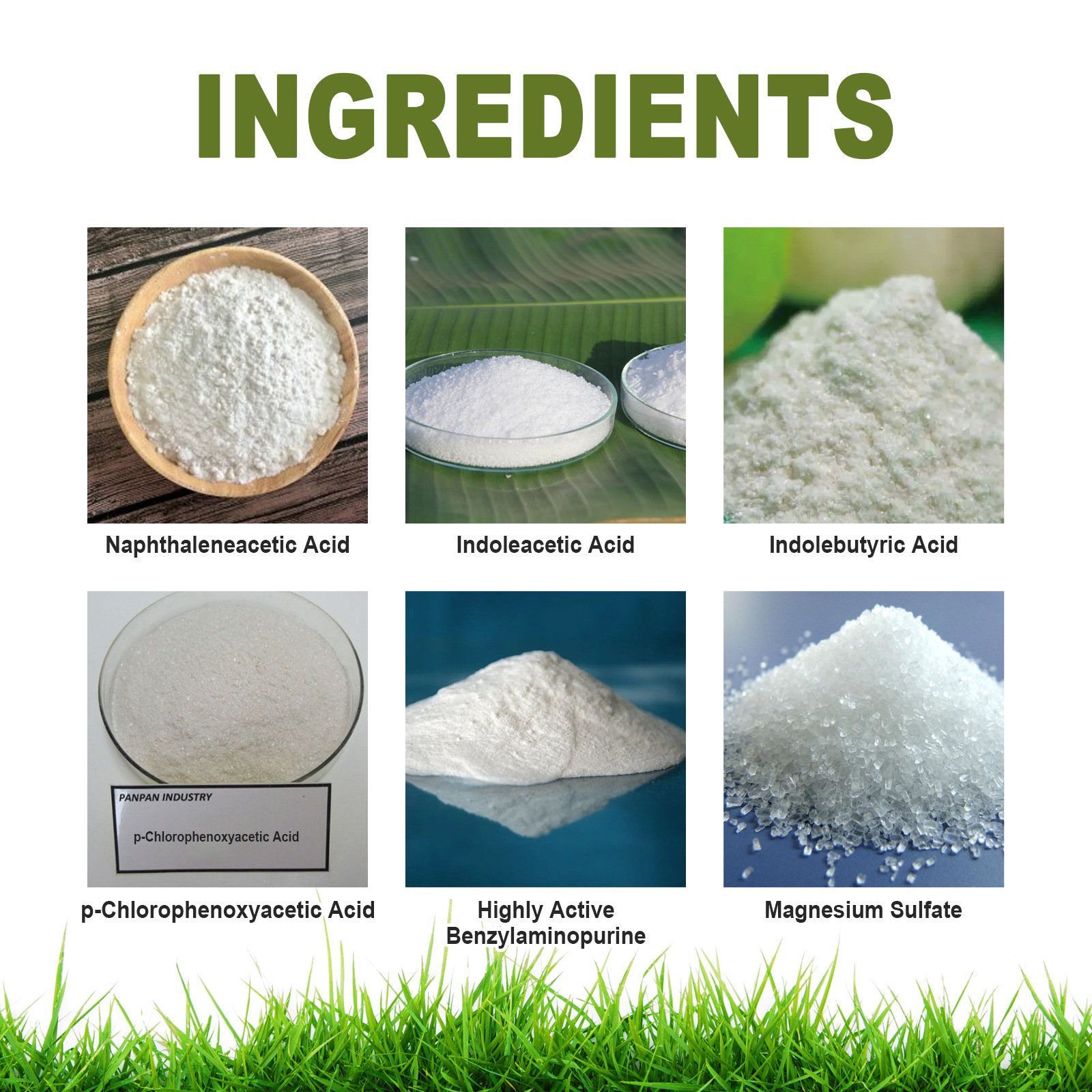 Factory Directly Plant Extract Rooting Powder Wholesale Silk Root Extract Powder