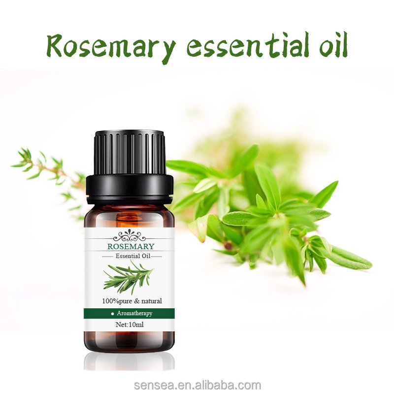 ODM OEM Organic 100% Pure Hair Care Essential Oil Natural Pure Rosemary Oil For Massage