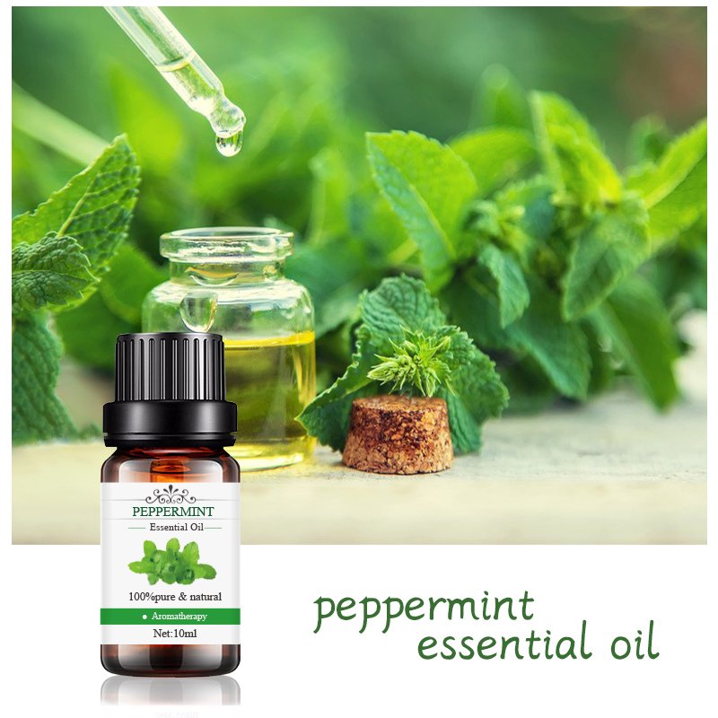 ODM/OEM Peppermint essential oil premium grade organic 100% pure skin care aromatherapy peppermint hair care essential oil