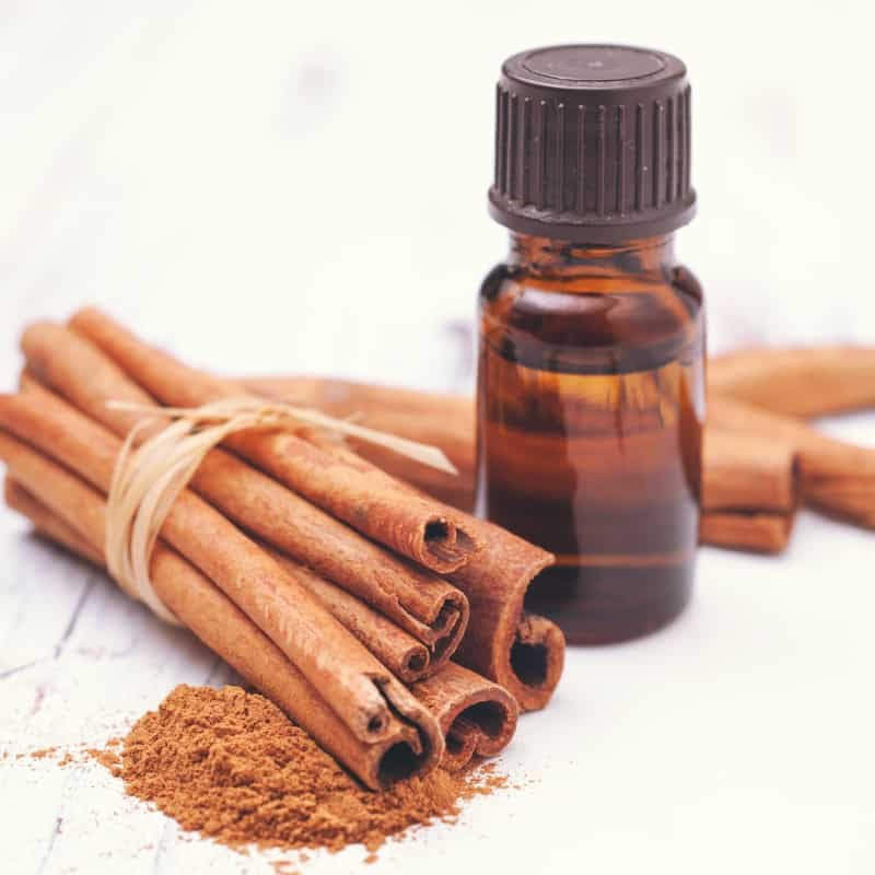 Cinnamon Bark Essential Oil Indian Origin Premium Quality Top Grade Natural Basil Oil for Export from India At Wholesale Price