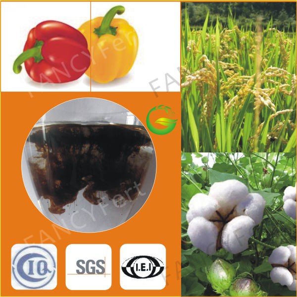 Agricultural Foliar and Irriation Organic and Chemical NPK Fertilizer