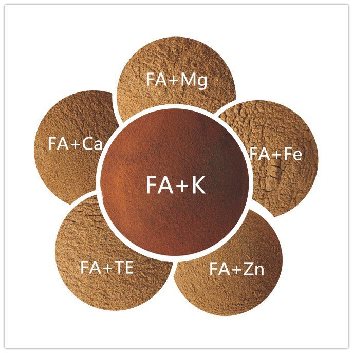Agricultural Foliar and Irriation Organic and Chemical NPK Fertilizer