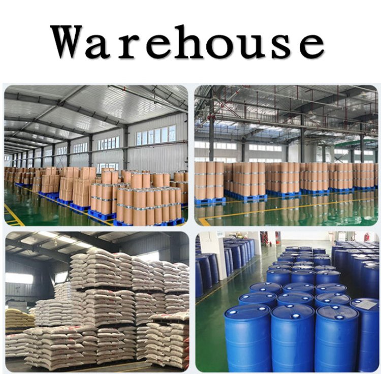 natural organic Andrographis paniculata extract 98% Andrographolide CAS 5508-58-7