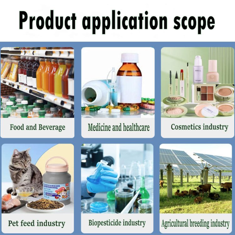 natural organic Andrographis paniculata extract 98% Andrographolide CAS 5508-58-7
