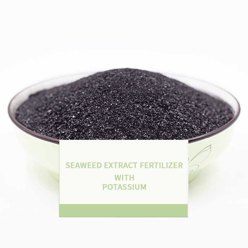 Chemical Plant Growth Promoter Organic Rooting Powder Seaweed Extract Fertilizer For Crops