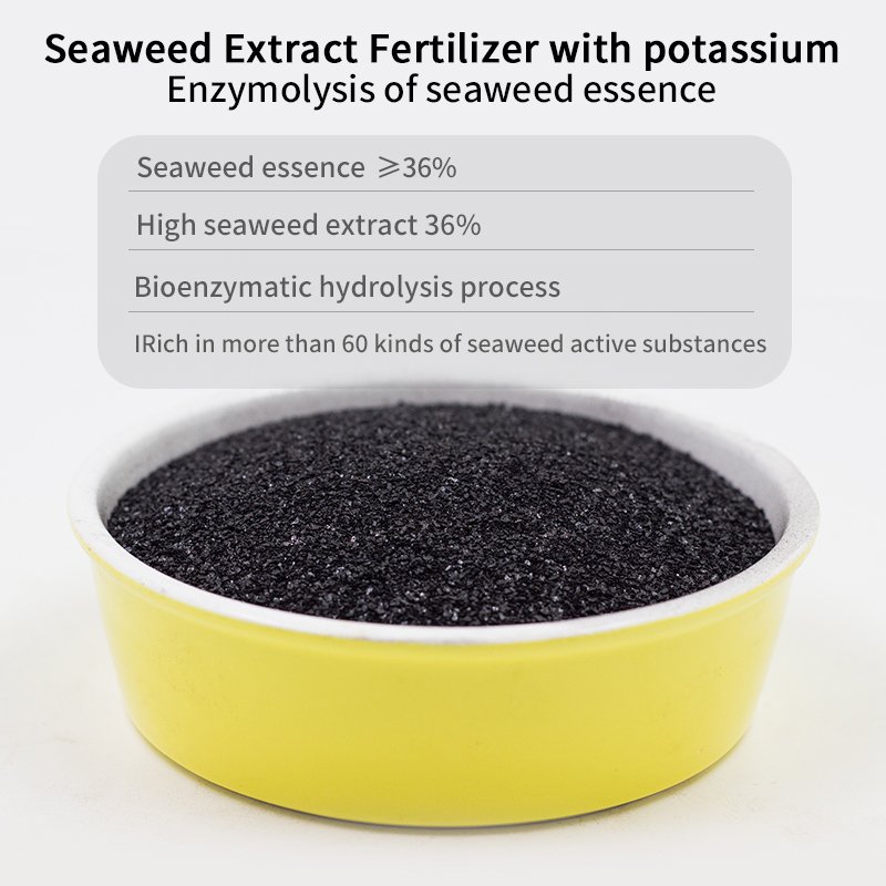 Chemical Plant Growth Promoter Organic Rooting Powder Seaweed Extract Fertilizer For Crops