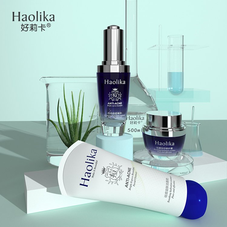 High Quality Natural Organic Face Care Anti-acne Oil control Serum Oil Whiten Cream Skincare Rich Aloe Skin care Set