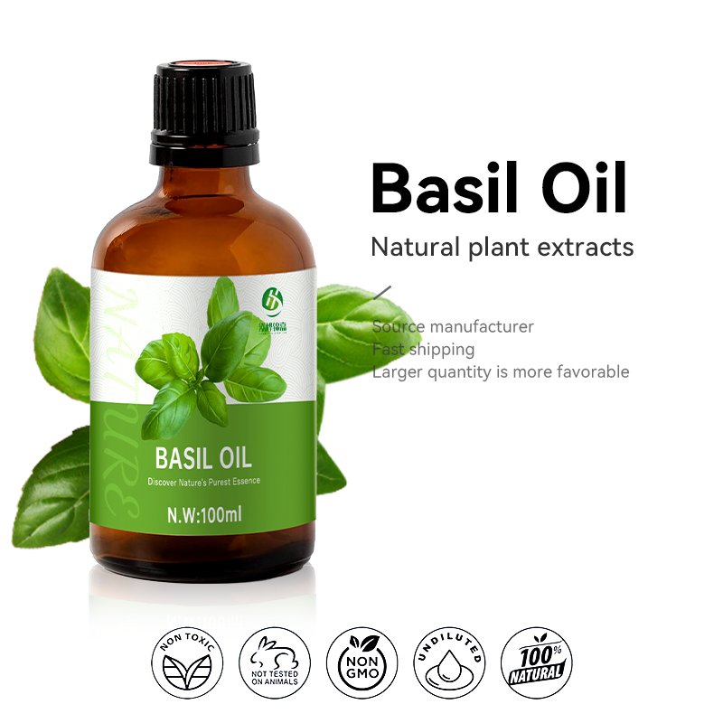 hot selling products 2024 clove basil oil 100ml OEM/ODM basil oil from india