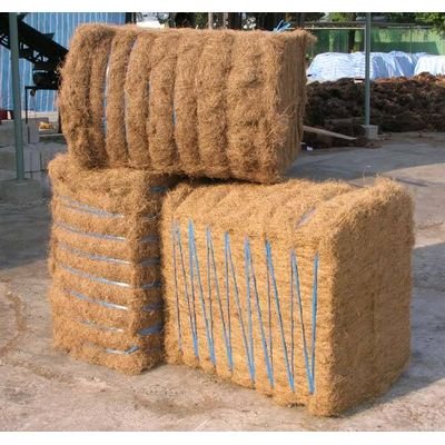 100% Organic Coconut fibre/oconut coir fiber