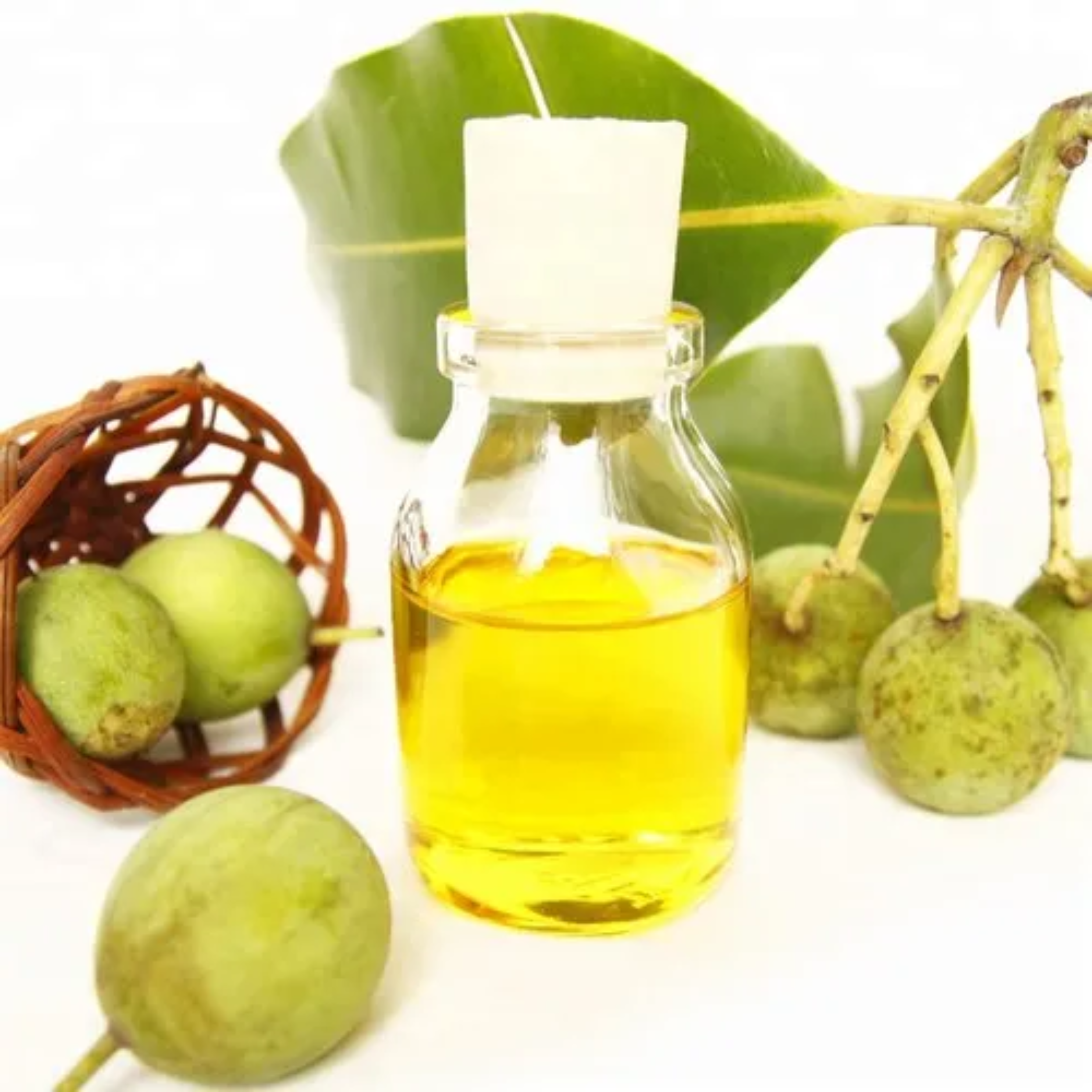 Tamanu Oil Calophyllum Inophyllum 50kg 100% Pure Natural Organic Premium Quality Private Labelling Customization Available
