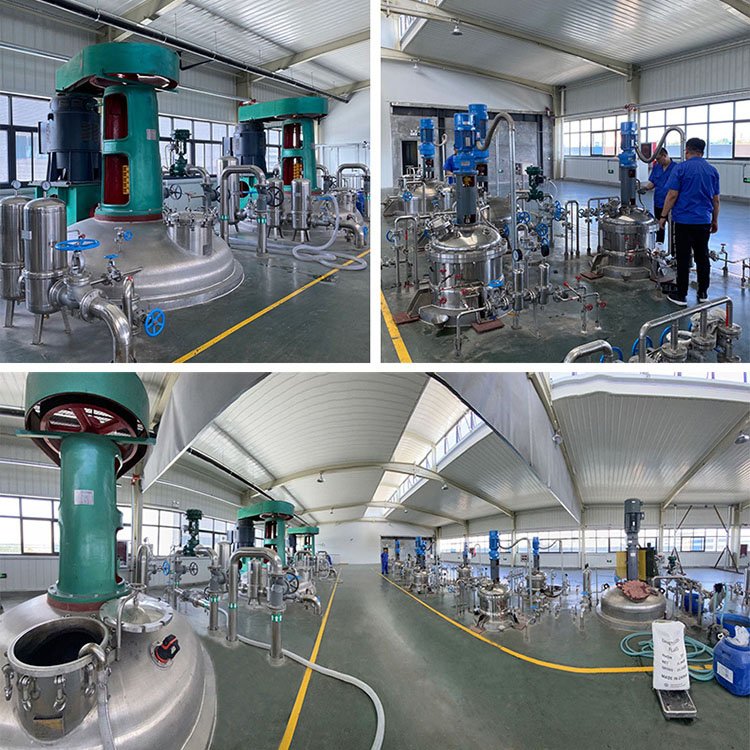 High Quality Promote Root Growth 20 Billion Bacillus Licheniformis Other Agro chemicals