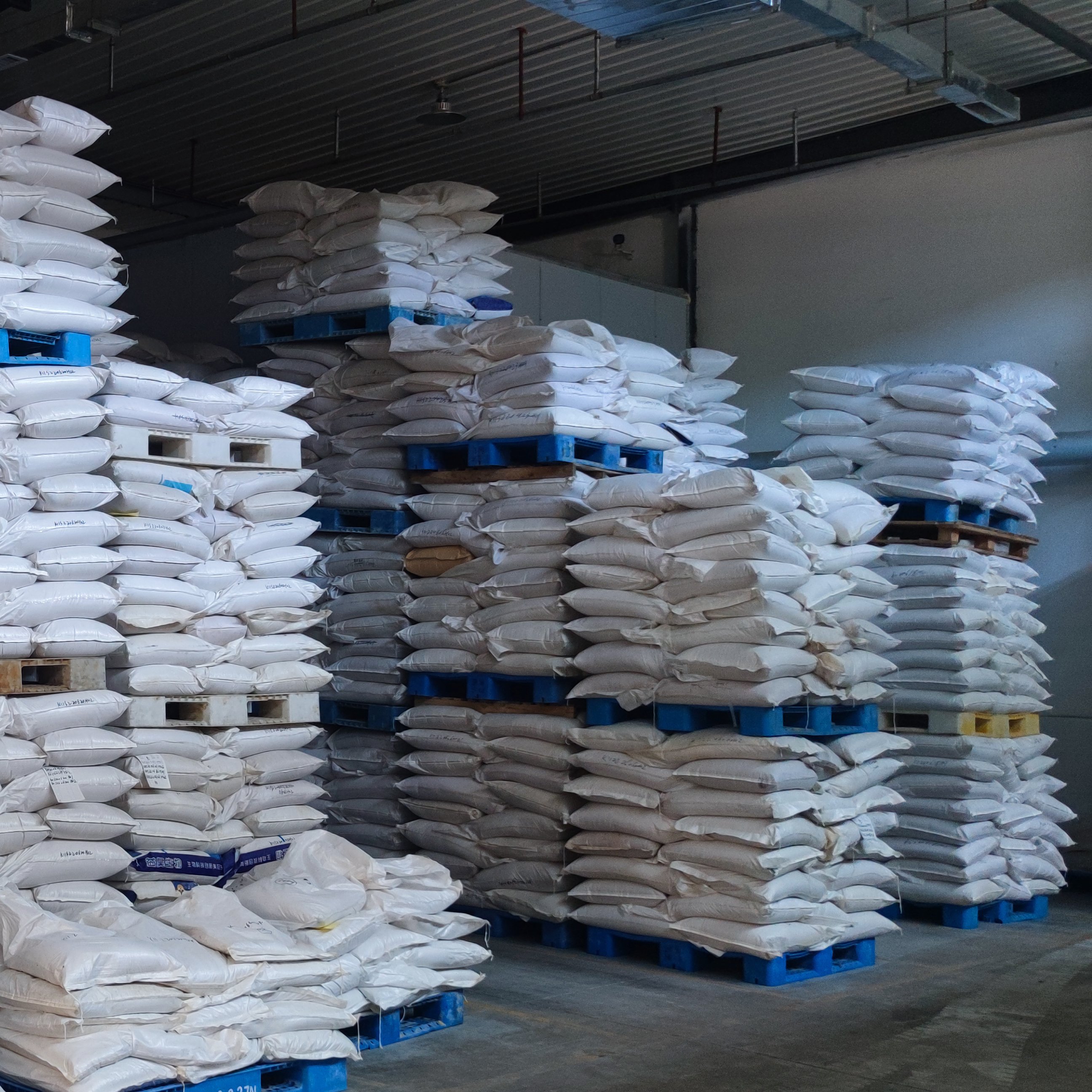 High Quality Promote Root Growth 20 Billion Bacillus Licheniformis Other Agro chemicals