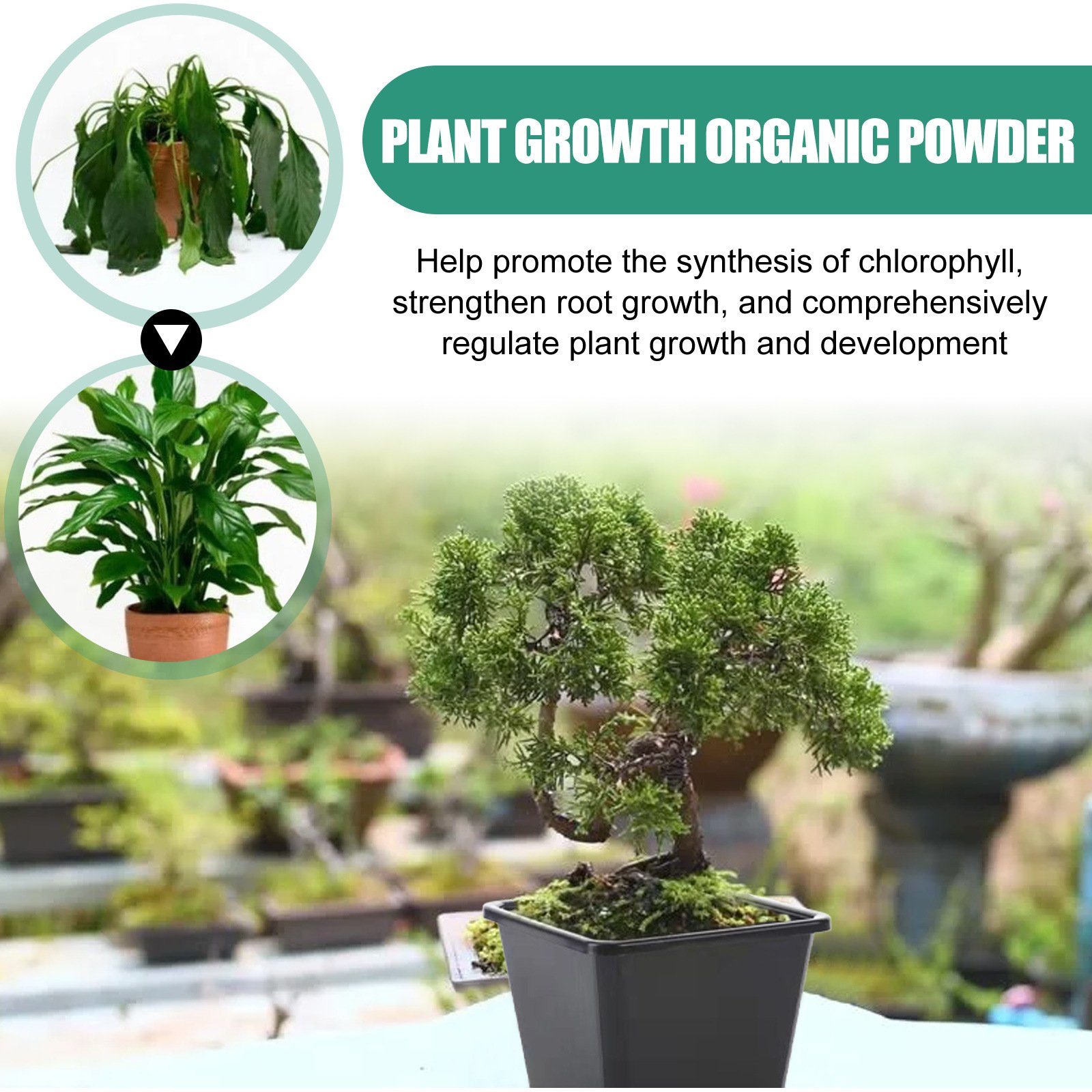 YEGBONG 120g chlorophyl synthesis flower bud diffrentiation promoting root growth strengthening plant growth organic powder