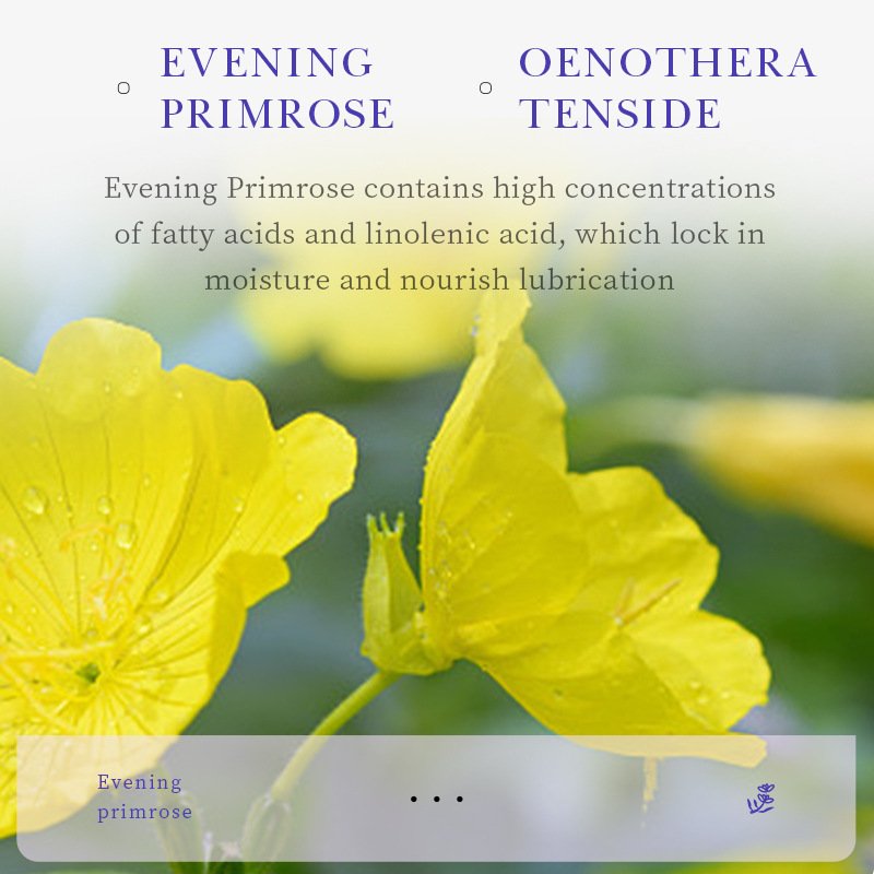 Evening primrose vitamin E body lotion moisturizing