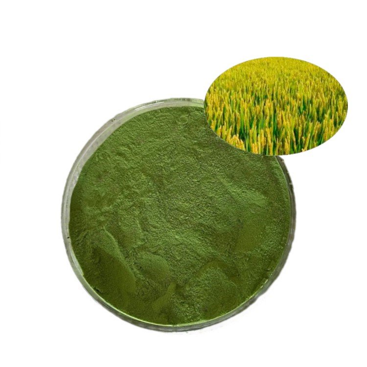 High Quality Green Powder Algae Kelp Extract Alginic Acid Organic Fertilizer Seaweed Extract