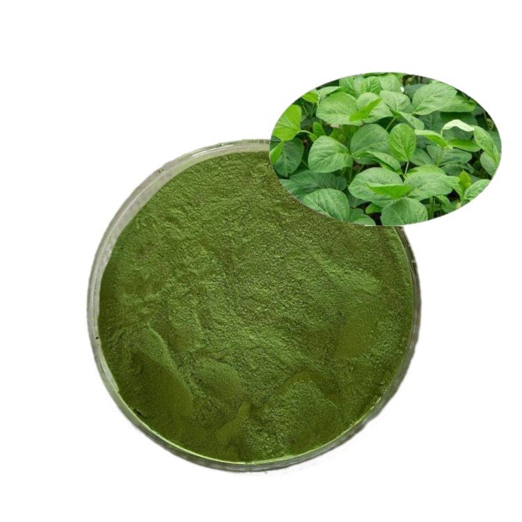 High Quality Green Powder Algae Kelp Extract Alginic Acid Organic Fertilizer Seaweed Extract