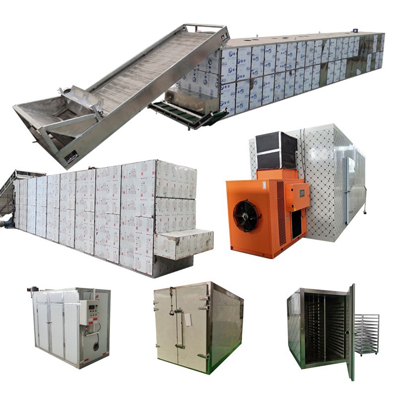 1-50 Ton Capacity Heat Pump Continuous Vegetables Dryer Heat Pump Fruit Organic Onion Sweet Potato Dryer