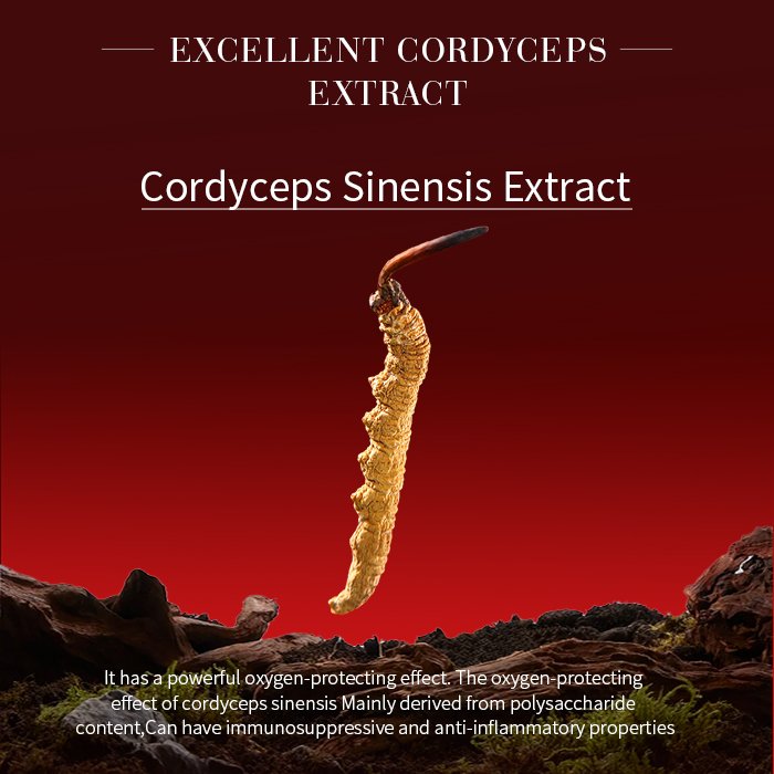 OEM Wholesale Skin Care Kit Brightening Skincare Cordyceps sinensis lady cream Moisturizing Cream Skin care set