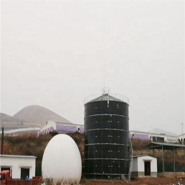 1000m3 Organic Anaerobic Digestion Biogas Power Plant For Livestock breeding Animal Manure treatment