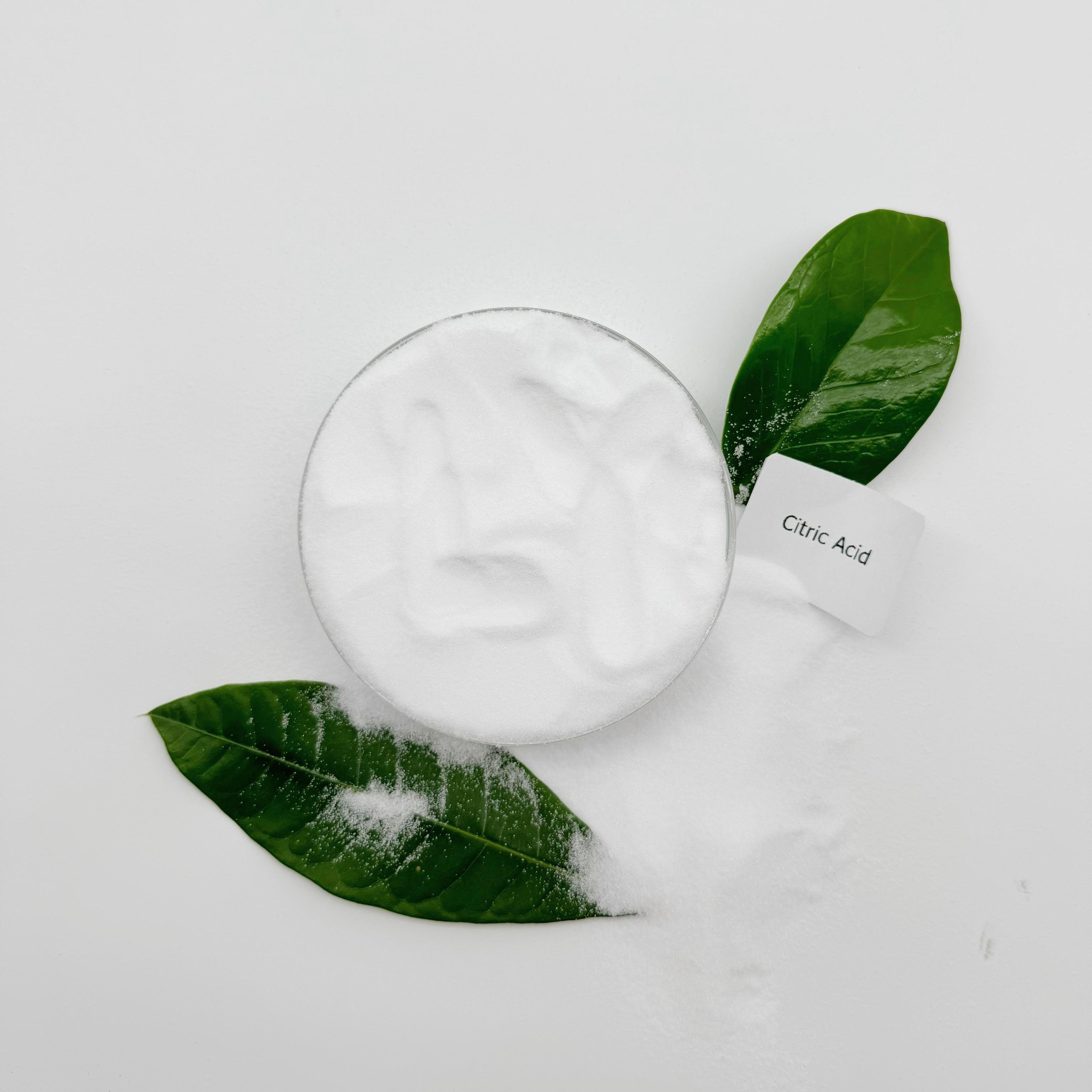 Factory Supplier Organic Price Bulk Food Grade Citric Acid Monohydrate Powder