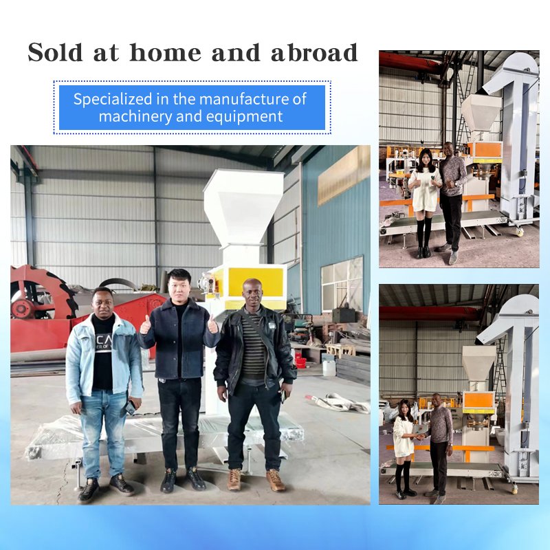 Woven Bag Automatic Multifunctional Weighing Fertilizer Organic Fertilizer Feed Packaging Machine