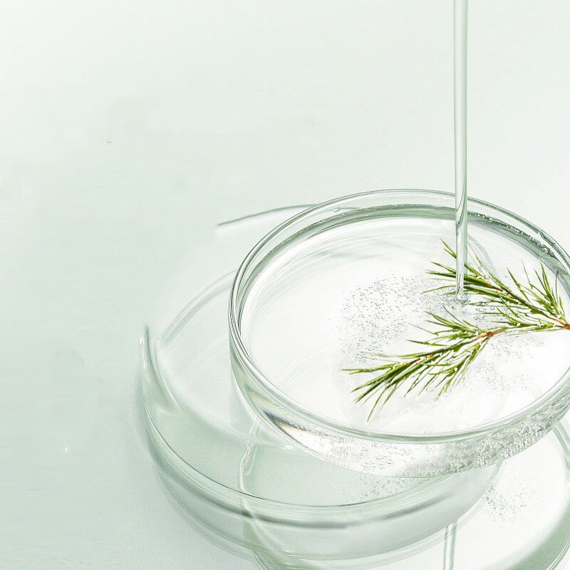 Organic Tea Tree Essential Oil Natural Fragrance Manufacturer-Grade for Massage and Hair Care