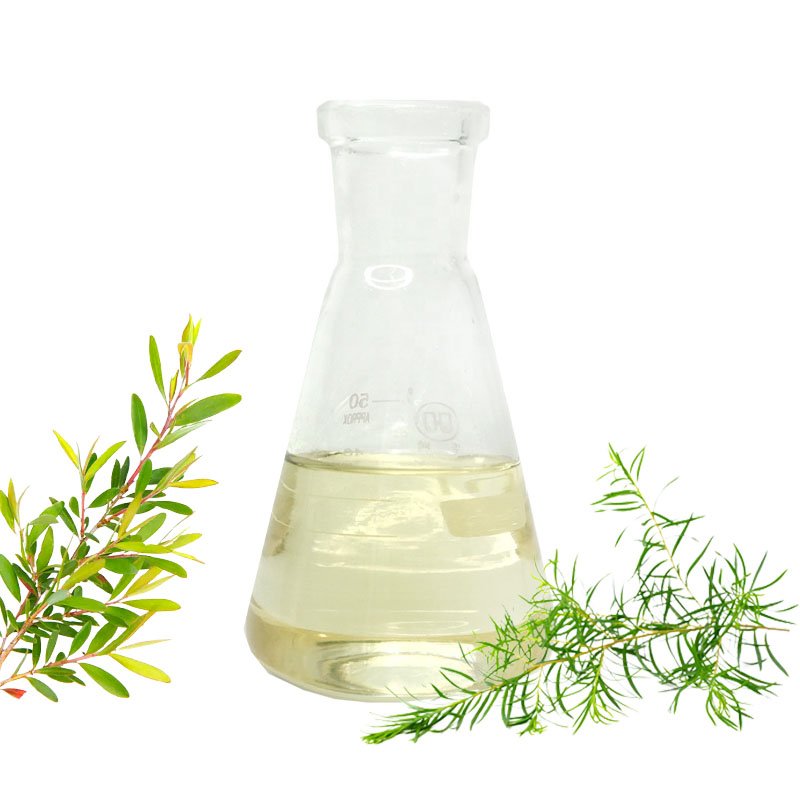 Organic Tea Tree Essential Oil Natural Fragrance Manufacturer-Grade for Massage and Hair Care