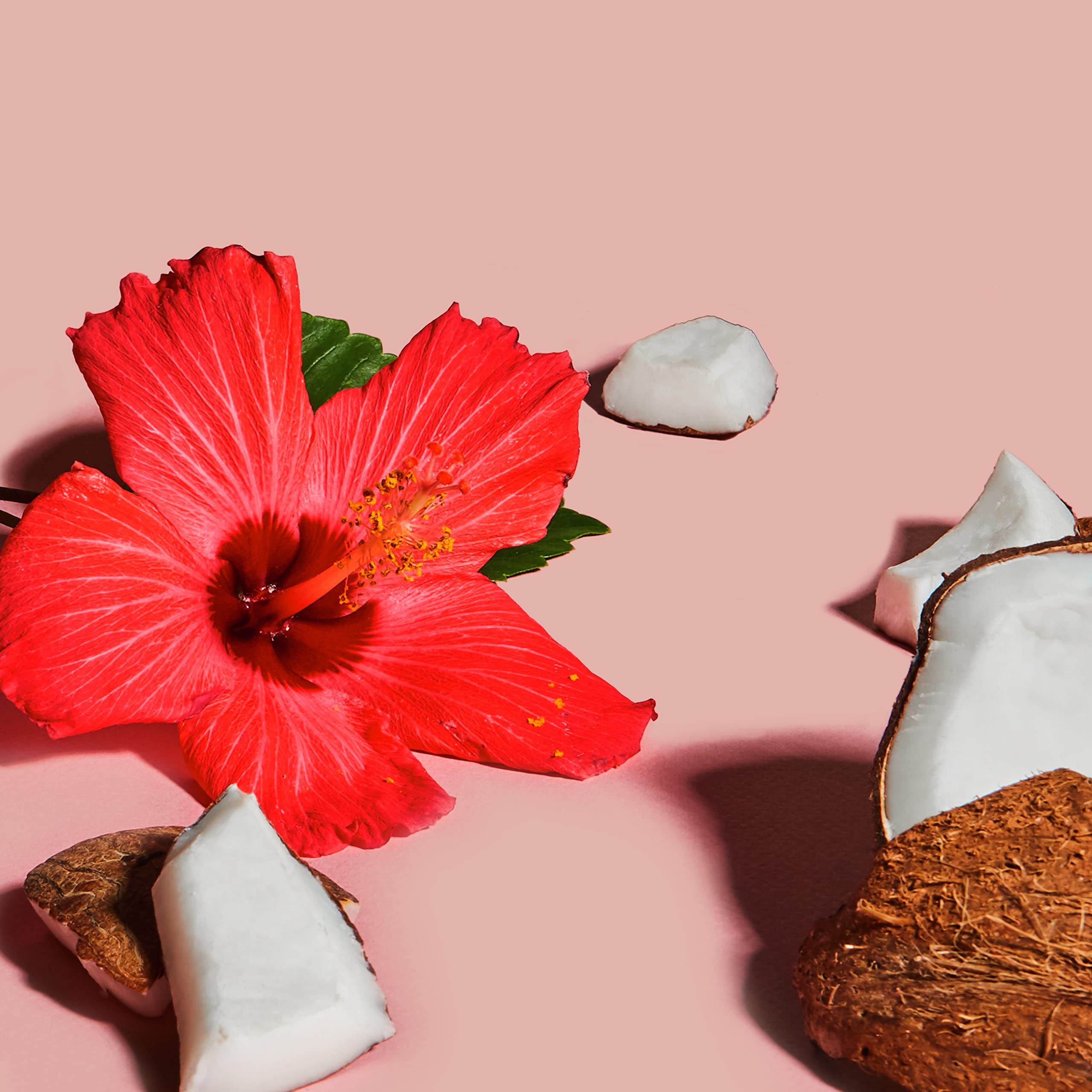 OEM Wholesale Organic Whitening Coconut Hibiscus Illuminating Vitamin e Hand Body Scrub