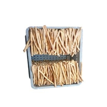 Cheap Price Fresh Peelu Miswaks Highest quality miswaks/sewaks from Pakistan miswaks in hygenic packing